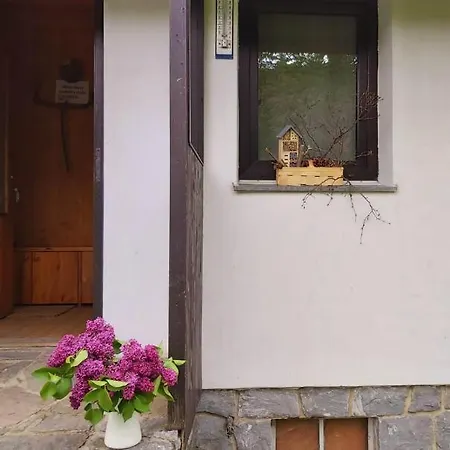 Jirkova Chata Lipova Lazne Exterior photo